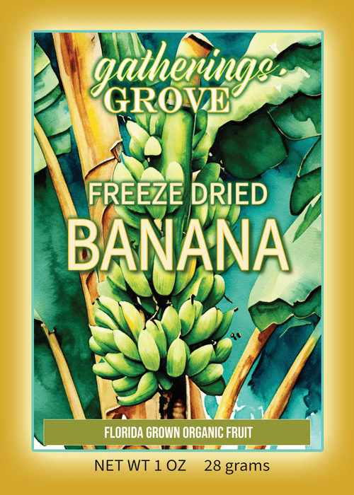 Freeze Dried Banana Net Weight 1 oz. (28g) - Gatherings Grove