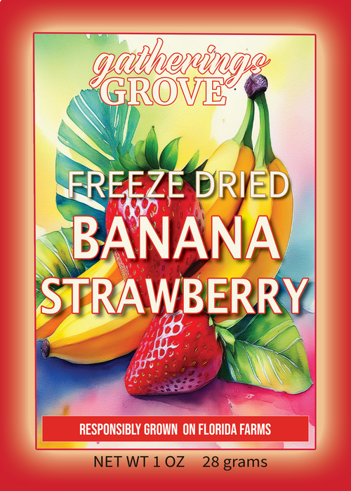 Freeze Dried Banana Strawberry Net weight 1 oz. (28g) - Gatherings Grove