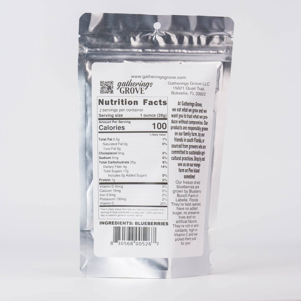 Freeze Dried Blueberries 1 oz - Gatherings Grove