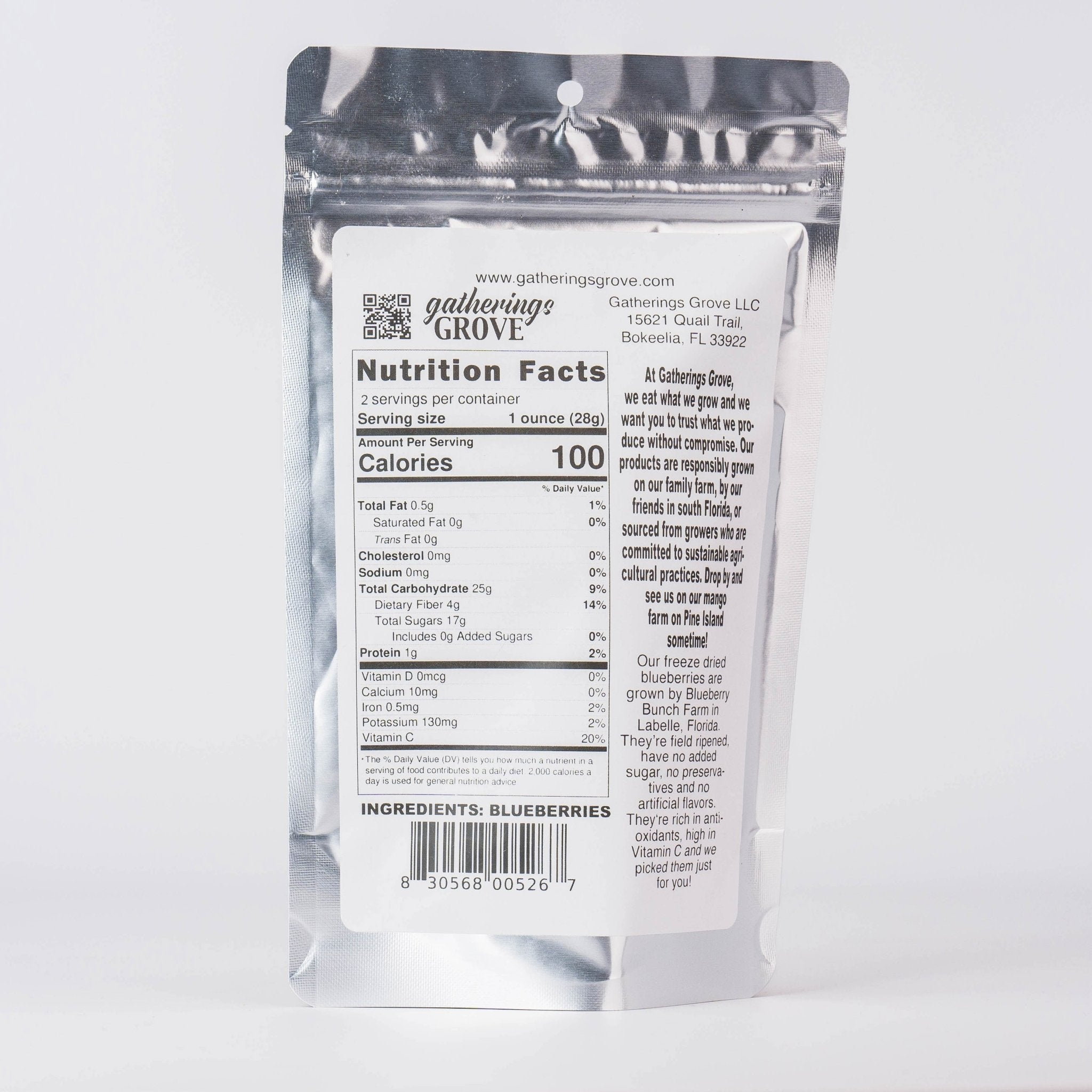 Freeze Dried Blueberries 1 oz - Gatherings Grove