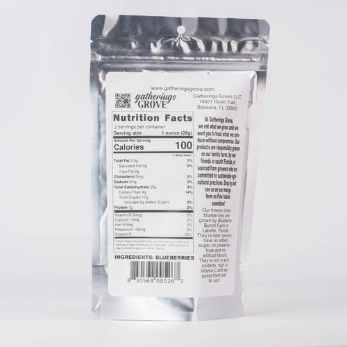 Freeze Dried Blueberries 1 oz - Gatherings Grove