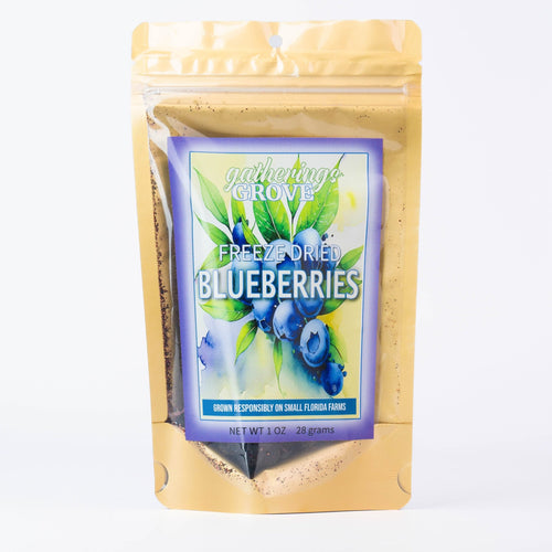 Freeze Dried Blueberries 1 oz - Gatherings Grove