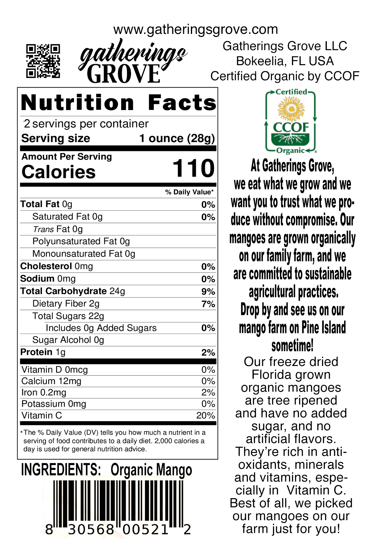 Freeze Dried Mango Pieces - Gatherings Grove