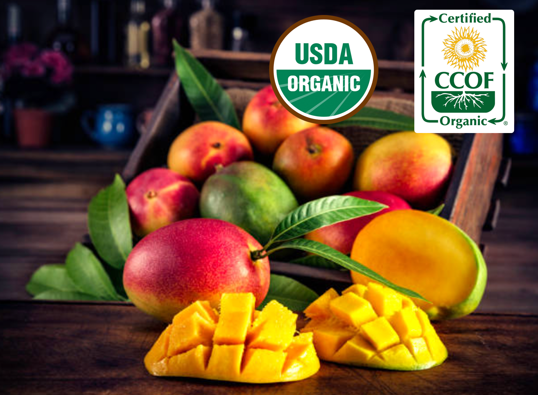Fresh Organic Florida Mangoes Large Box - Gatherings Grove