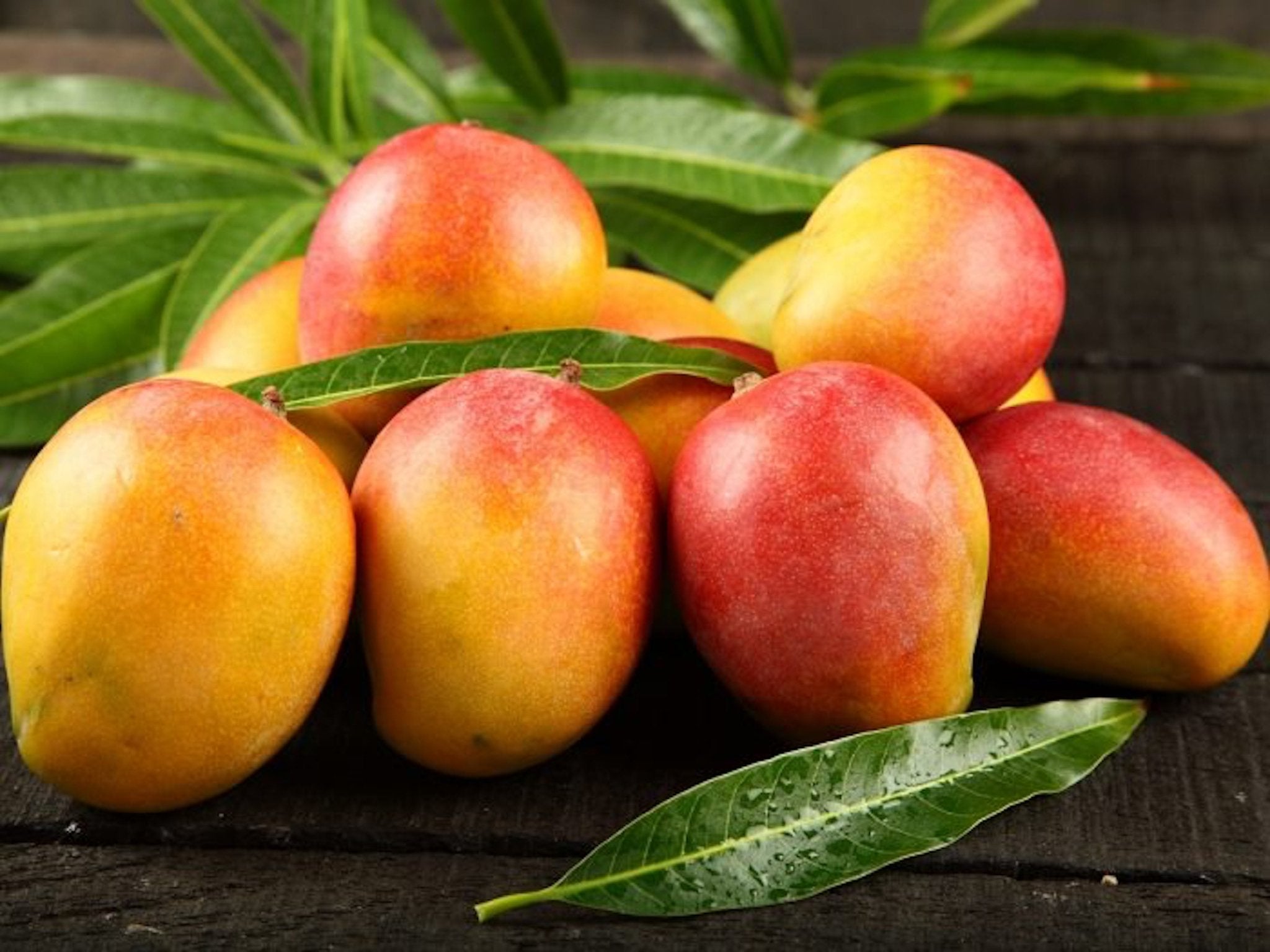 Fresh Organic Florida Mangoes Large Box - Gatherings Grove
