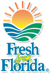Fresh Organic Florida Mangoes Large Box - Gatherings Grove