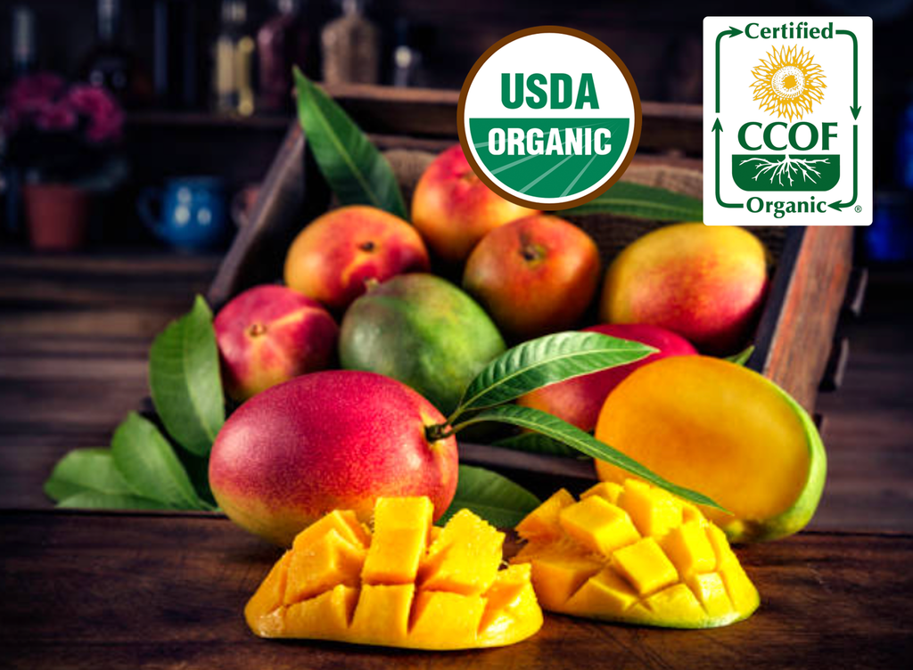 Fresh Organic Florida Mangoes Medium Box - Gatherings Grove